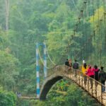 Meghalaya Tour Package (4 Days / 3 Nights)